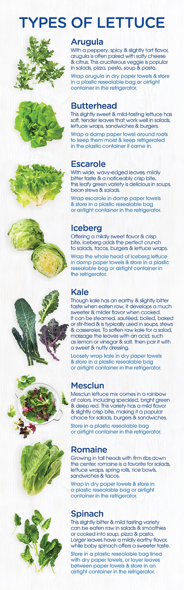 The Ultimate Guide To Lettuce and Salad Green Varieties