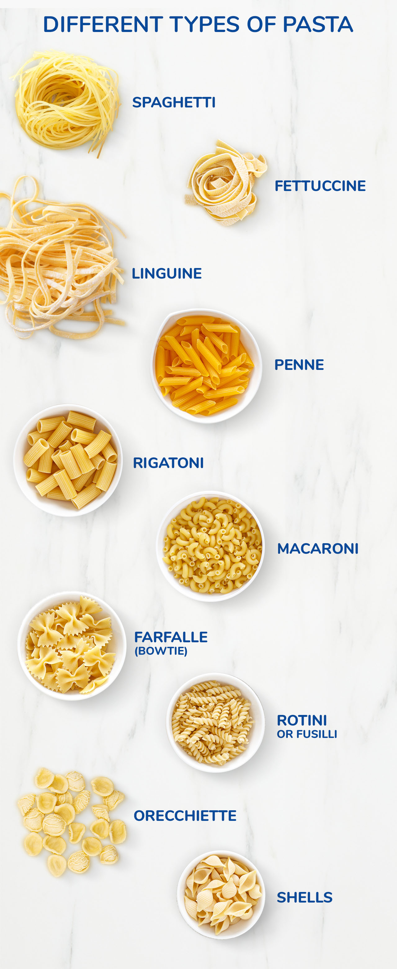Circle pasta sales