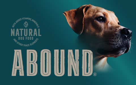 Abound puppy food reviews shop