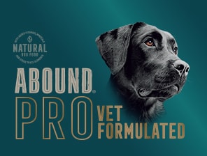 Abound Pro Vet Dog Food