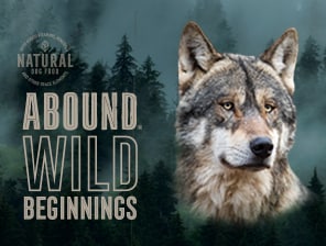 Abound Wild Beginnings Dog Food