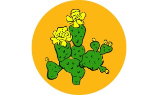 Opuntia: Prickly Pear Opuntia: Prickly Pear