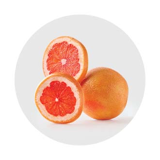 Support Your Immune System