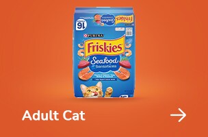 Adult Cat