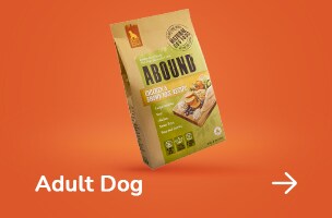 Adult Dog