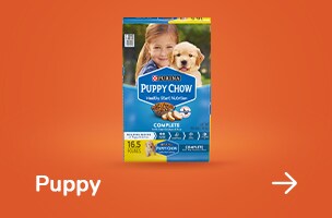 Puppy