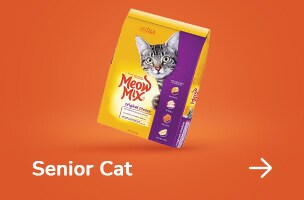 Senior Cat