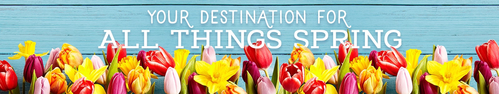 Your Destination for All Things Spring Your Destination for All Things Spring
