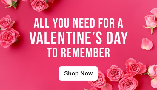 Everything You Need to Celebrate Valentine’s Day