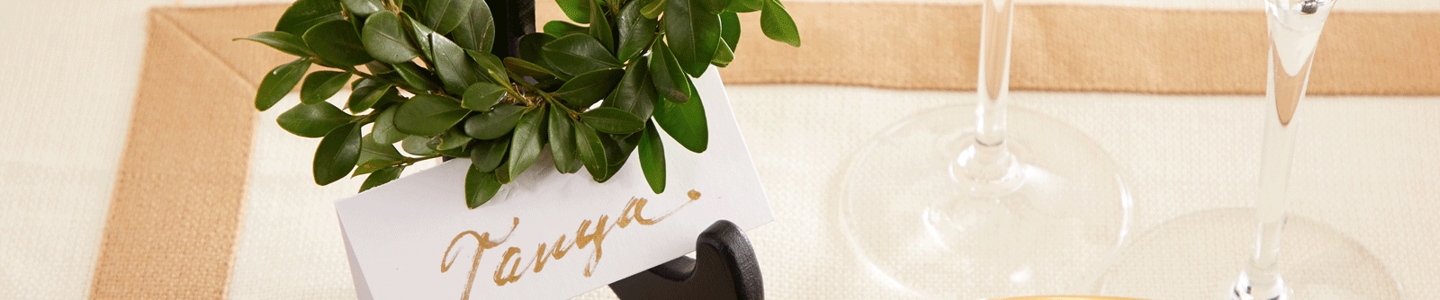 Close crop of a name card sitting in a black holder with the name Tanya written in gold ink Close crop of a name card sitting in a black holder with the name Tanya written in gold ink