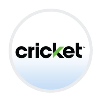 Cricket Cricket
